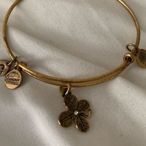 GOLD ALEX AND ANI BANGLE